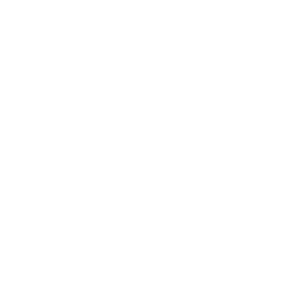 vanessa and shayne logo