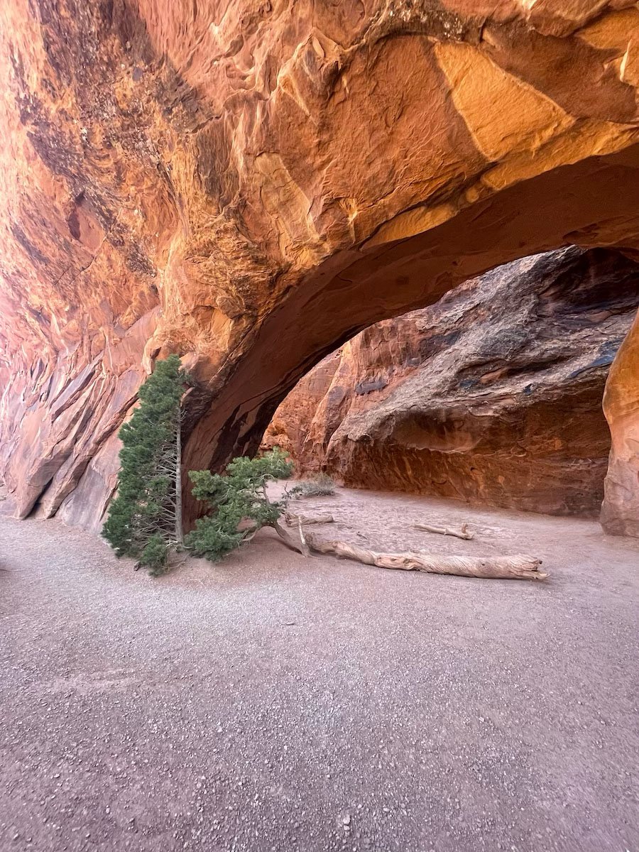 Utah desert