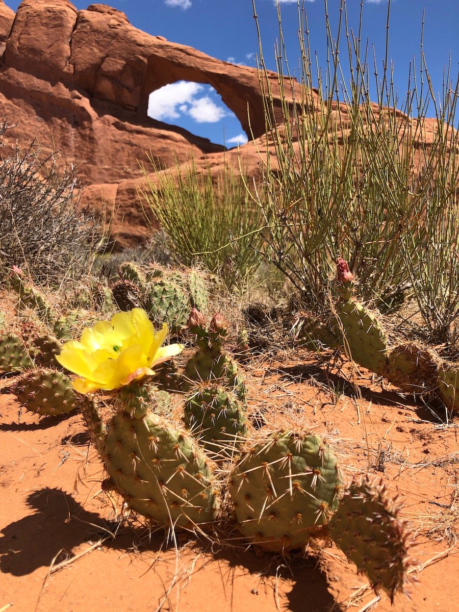 Arches National Park, Utah